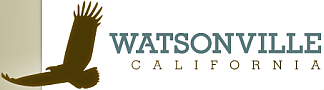 Watsonville Airshow - Watsonville California